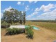 397 Milbrodale Road, Broke NSW 2330