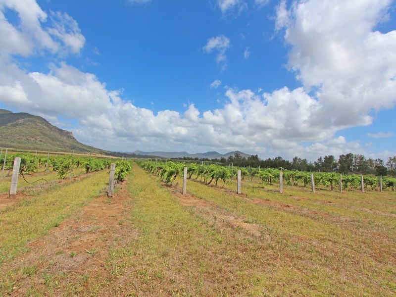 397 Milbrodale Road, Broke NSW 2330