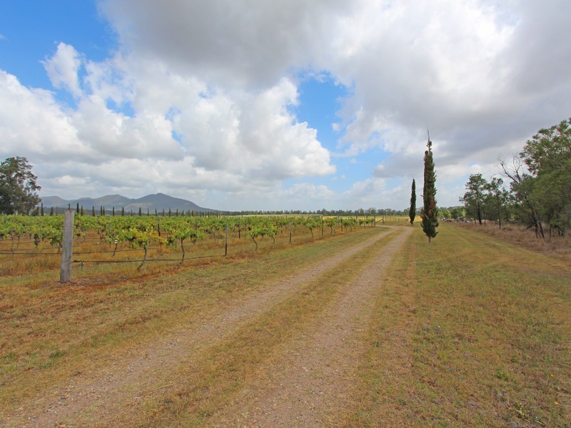 397 Milbrodale Road, Broke NSW 2330