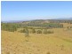324 Wollong Road, Quorrobolong NSW 2325
