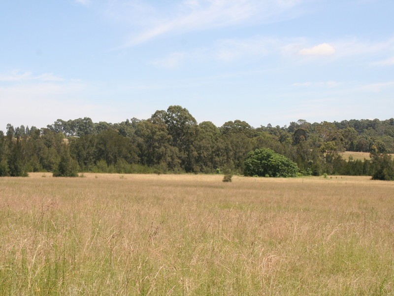 L2 Old North Road, Pokolbin NSW 2320