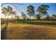 7 Jacaranda Grove, Elrington NSW 2325