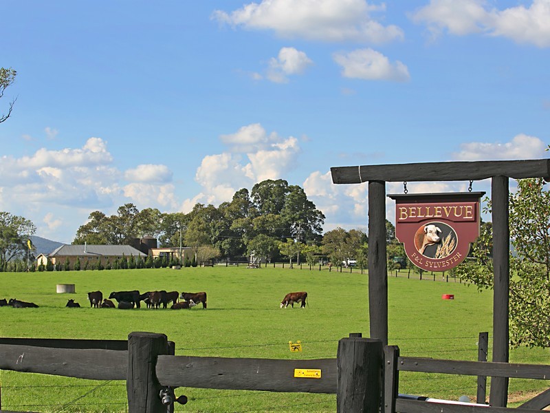 378 Tocal Road, Mindaribba NSW 2320