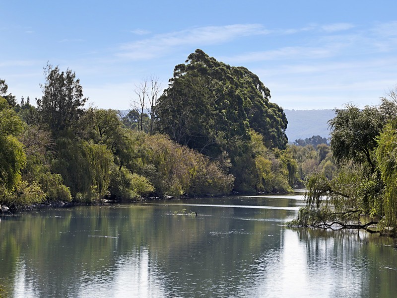378 Tocal Road, Mindaribba NSW 2320