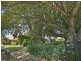 378 Tocal Road, Mindaribba NSW 2320