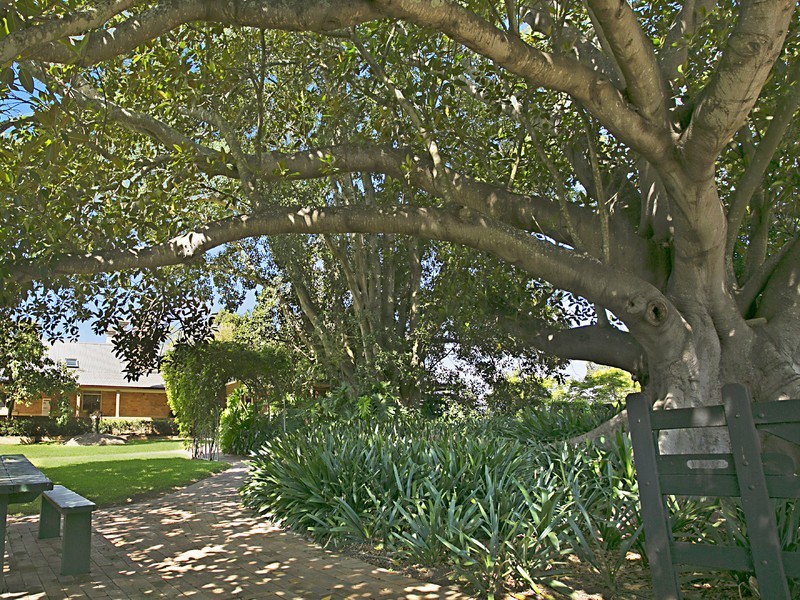 378 Tocal Road, Mindaribba NSW 2320