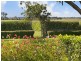 378 Tocal Road, Mindaribba NSW 2320