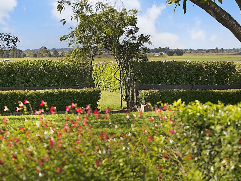 378 Tocal Road, Mindaribba NSW 2320