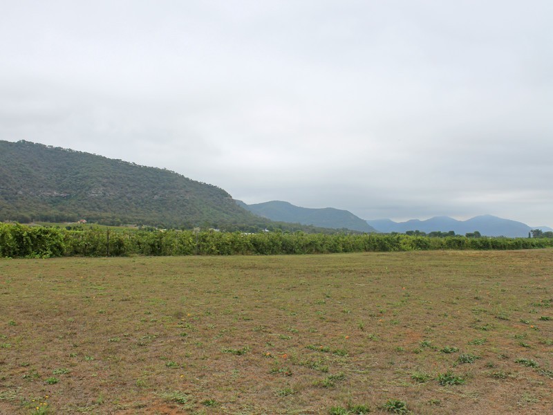 703 Milbrodale Road, Broke NSW 2330