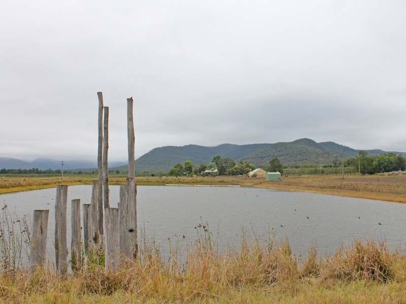 703 Milbrodale Road, Broke NSW 2330