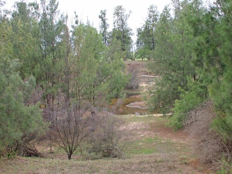 703 Milbrodale Road, Broke NSW 2330