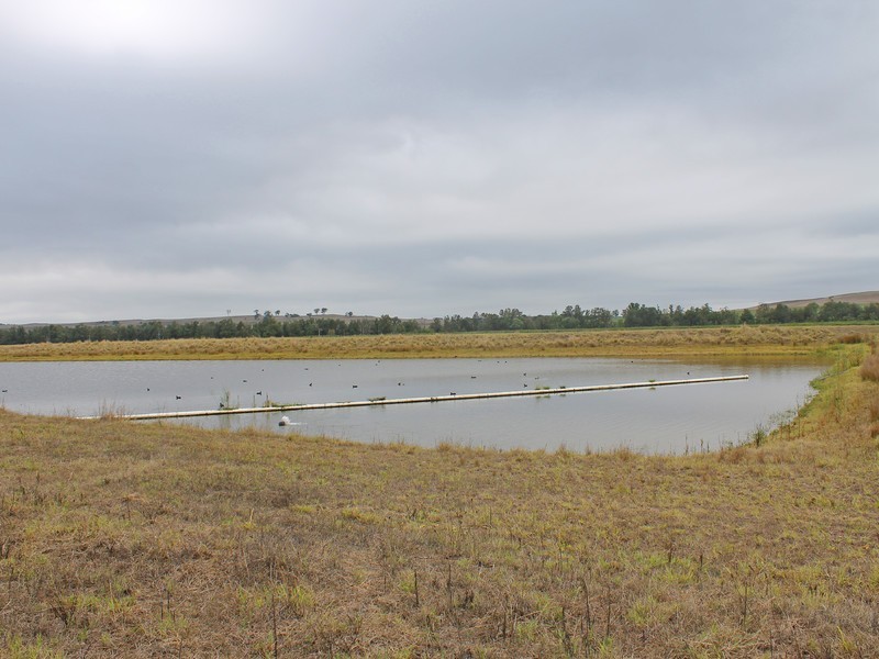 703 Milbrodale Road, Broke NSW 2330