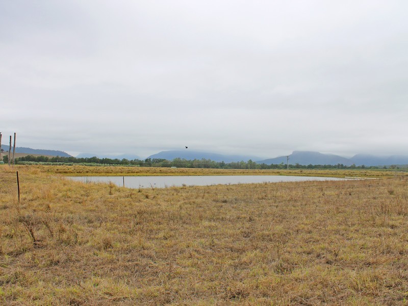 703 Milbrodale Road, Broke NSW 2330