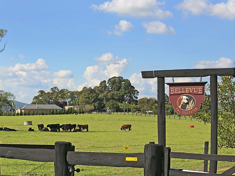 378 Tocal Road, Mindaribba NSW 2320