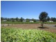 Lot 45 Kelman Estate, Pokolbin NSW 2320