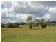 995 Sandy Creek Road, Quorrobolong NSW 2325