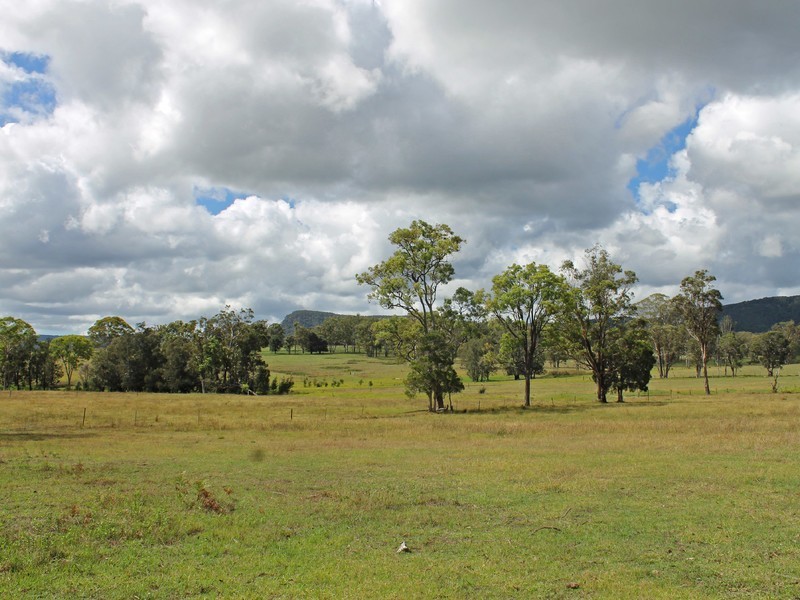 995 Sandy Creek Road, Quorrobolong NSW 2325