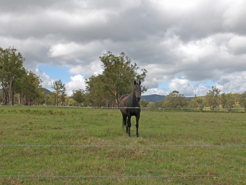 995 Sandy Creek Road, Quorrobolong NSW 2325