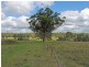 995 Sandy Creek Road, Quorrobolong NSW 2325