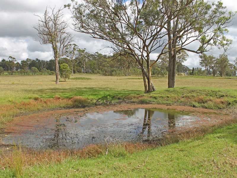 995 Sandy Creek Road, Quorrobolong NSW 2325