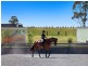 665 Luskintyre Road, Luskintyre NSW 2321
