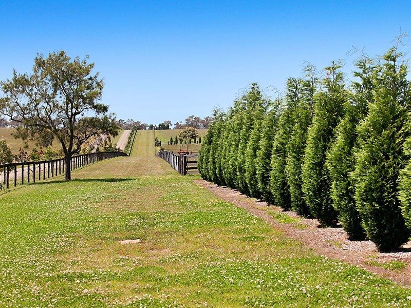 665 Luskintyre Road, Luskintyre NSW 2321