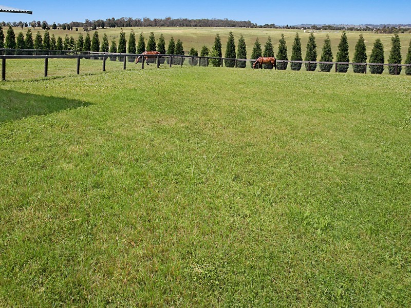 665 Luskintyre Road, Luskintyre NSW 2321