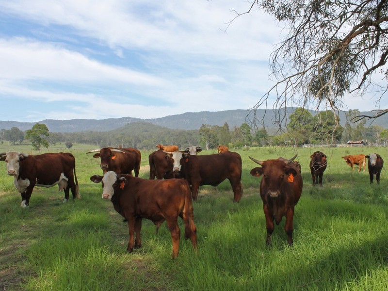 440 Congewai Road, Congewai NSW 2325