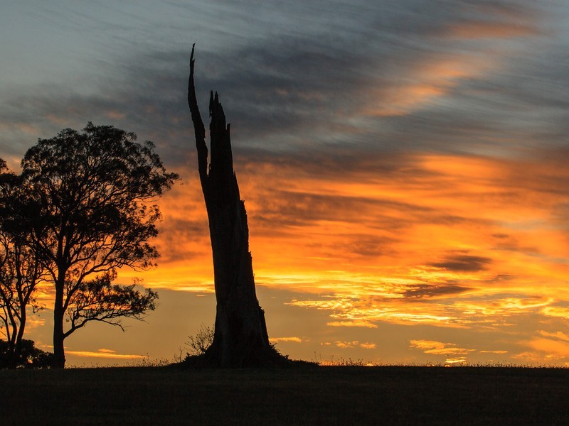 Lot 2 Mistletoe Lane, Pokolbin NSW 2320