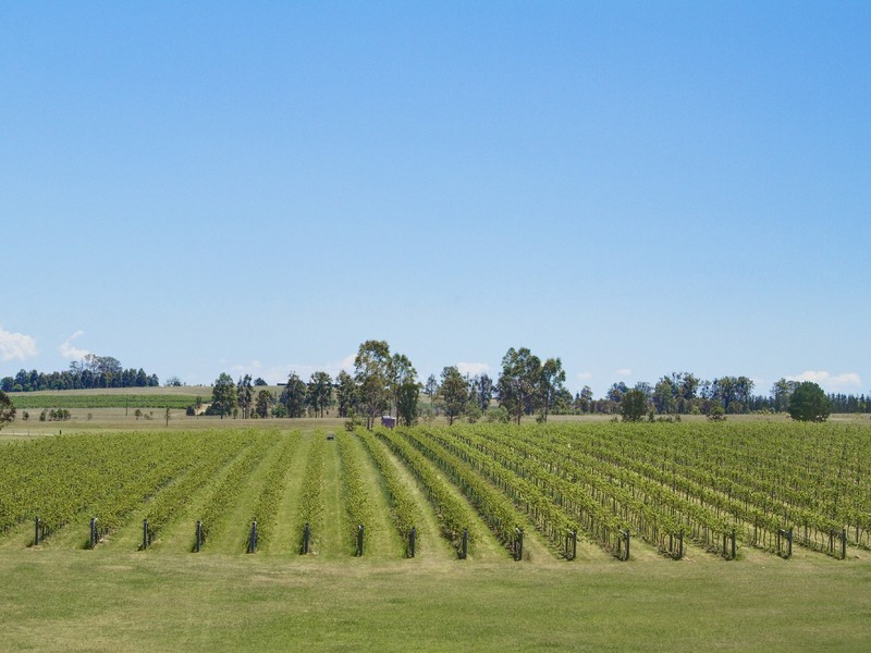 547 Old North Road, Pokolbin NSW 2320