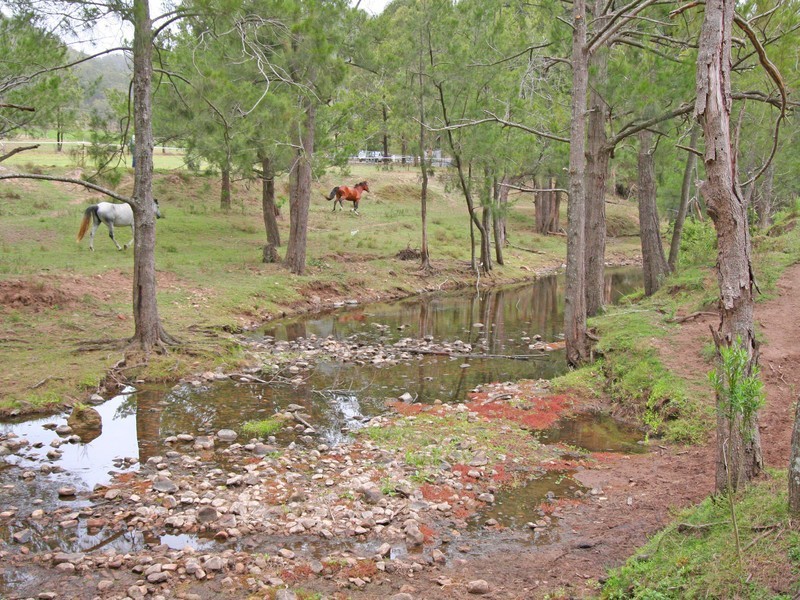 572 Lambs Valley Road, Lambs Valley NSW 2335