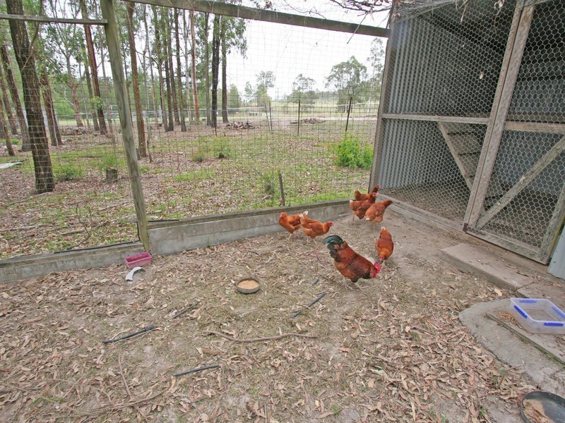 572 Lambs Valley Road, Lambs Valley NSW 2335