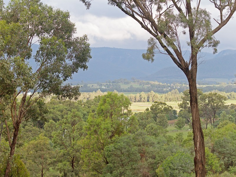 596 Milbrodale Road, Broke NSW 2330