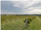 1274 Wine Country Drive, Rothbury NSW 2320
