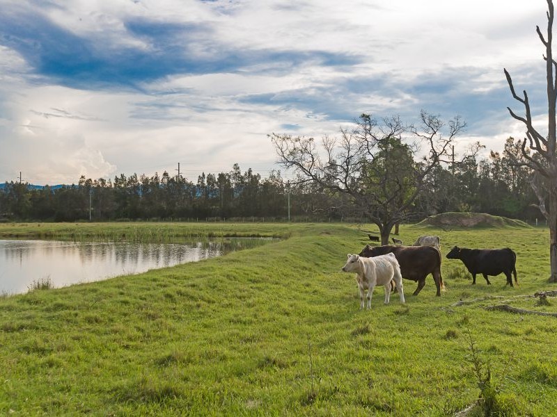 1274 Wine Country Drive, Rothbury NSW 2320