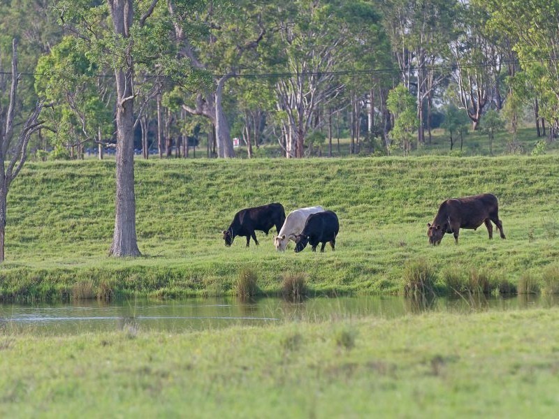 1274 Wine Country Drive, Rothbury NSW 2320