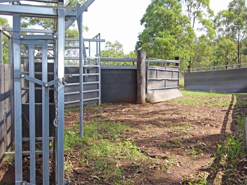 249 Tuckers Lane, Greta NSW 2334