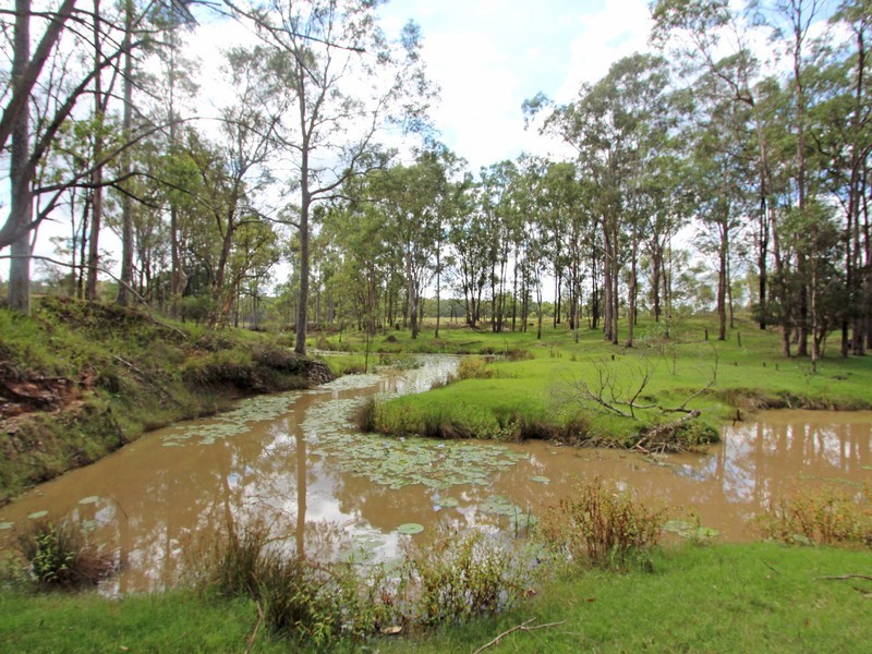 249 Tuckers Lane, Greta NSW 2334
