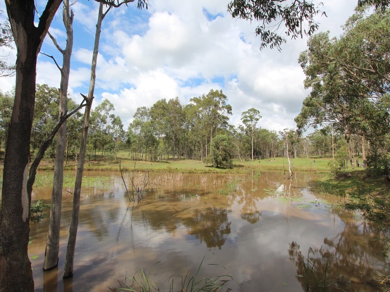 249 Tuckers Lane, Greta NSW 2334