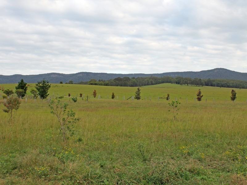 155 Barraba Lane, Quorrobolong NSW 2325