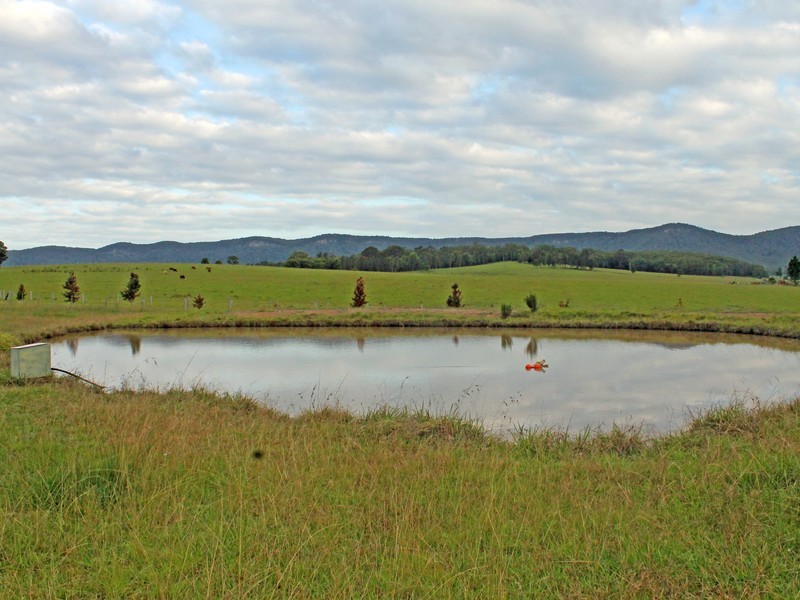 155 Barraba Lane, Quorrobolong NSW 2325