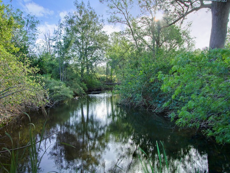 690 Lambs Valley Road, Lambs Valley NSW 2335