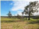 702 Wollombi Road, Bishops Bridge NSW 2326