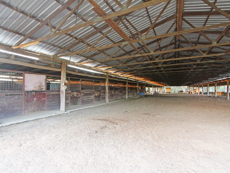 702 Wollombi Road, Bishops Bridge NSW 2326