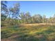 Lot 1,  The Inlet Road (DP1167878), Bulga NSW 2330