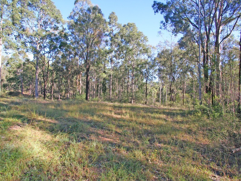 Lot 1,  The Inlet Road (DP1167878), Bulga NSW 2330
