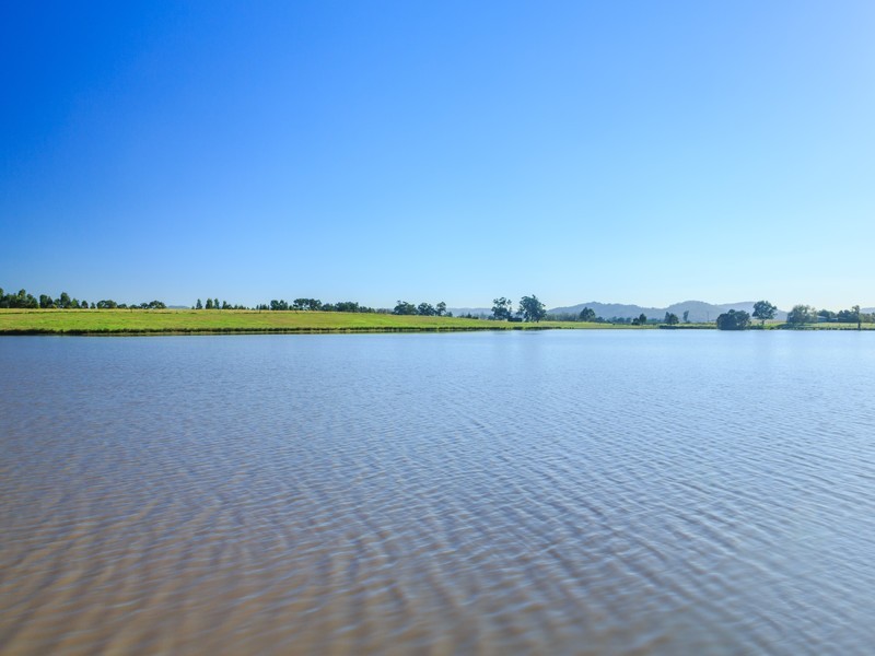 93 Luskintyre Road, Luskintyre NSW 2321