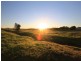 93 Luskintyre Road, Luskintyre NSW 2321