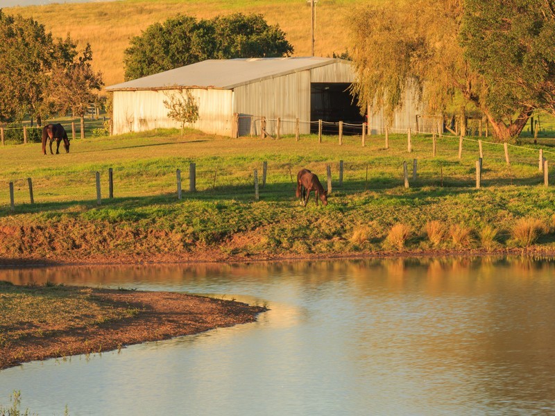 93 Luskintyre Road, Luskintyre NSW 2321