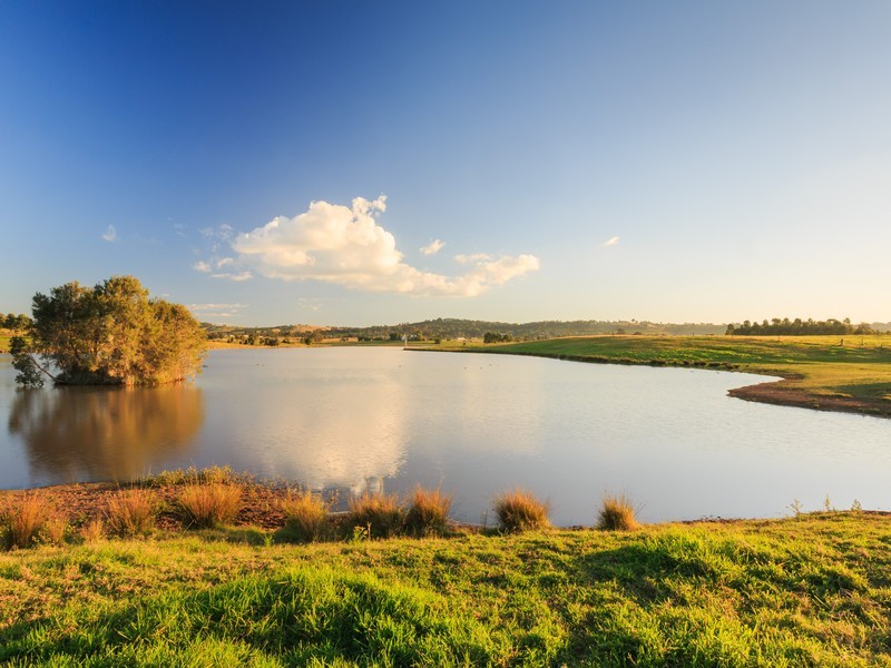 93 Luskintyre Road, Luskintyre NSW 2321